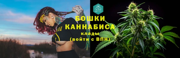 мдпв Краснотурьинск