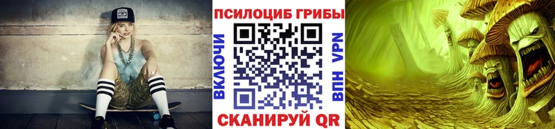 Купить  Беломорск  Псилоцибиновые грибы GOLDEN TEACHER 